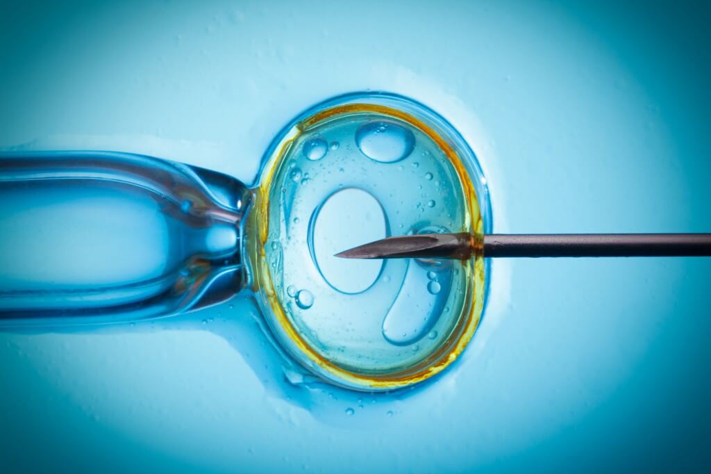 in vitro fertillisation Read the pros and cons of the debate invitro fertilization. in vitro fertillisation Read the pros and cons of the debate invitro fertilization.