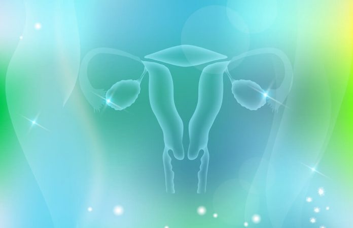 Uterus Miyomları