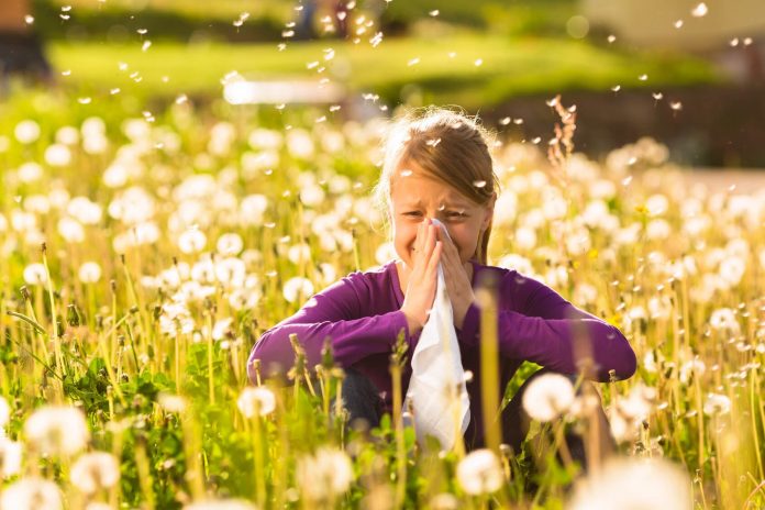 Alerjik Rinit Nedir?