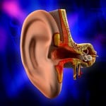Tatiliniz Zehir Olmasın: Kulak Sağlığına Dikkat