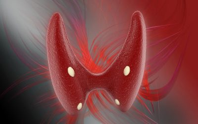 Endokrinoloji Nedir? Hangi Hastalıkları Tedavi Eder?