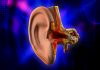Orta Kulakta Sıvı Toplanması Nedir