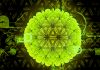 Coronavirüs Pandemisinde Umutlar Tükenmesin