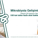 NBL Kategori PC