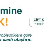 NBL Probiotic PC Üst