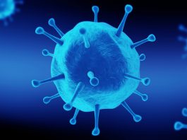 Koronavirüsü - Bağışıklık Sistemimizi Güçlendirelim