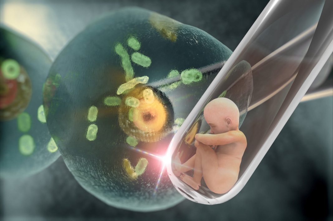 Mini Tüp Bebek Nedir ve Nasıl Yapılır? Doktor Amcam