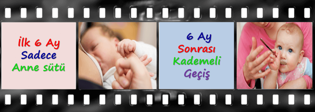 Ay Ay Bebek Beslenmesi
