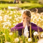 bahar alerjisi – saman nezlesi