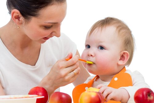 6 Aylık Bebek Beslenmesinde İlk Verilecek Besinler - Ek Gıdaya Geçiş